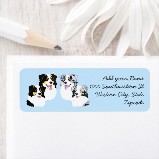 Blue & Black Aussies Rücksendeadresse (Insitu)