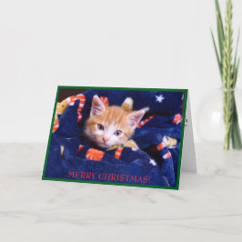 Blue Blanket Cat Frohe Weihnachten Orange Kitten