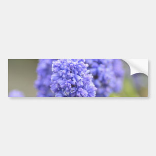 Blue Blue Blue Bells Autoaufkleber