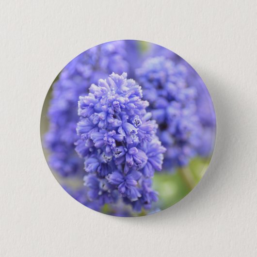 Blue Blue Blue Bells Button (Vorderseite)