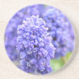 Blue Blue Blue Bells Sandstein Untersetzer