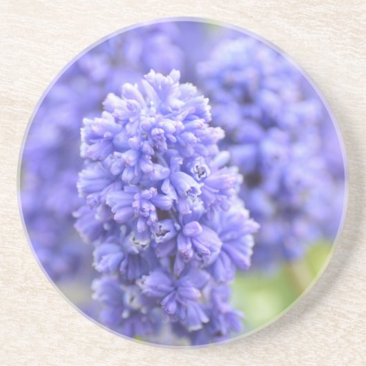 Blue Blue Blue Bells Sandstein Untersetzer (Vorne)