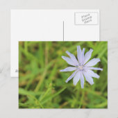 Blue Blume #3 Postkarte (Vorne/Hinten)