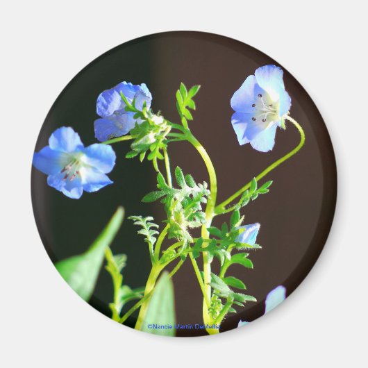 Blue Blume-Magnet Magnet (Vorne)
