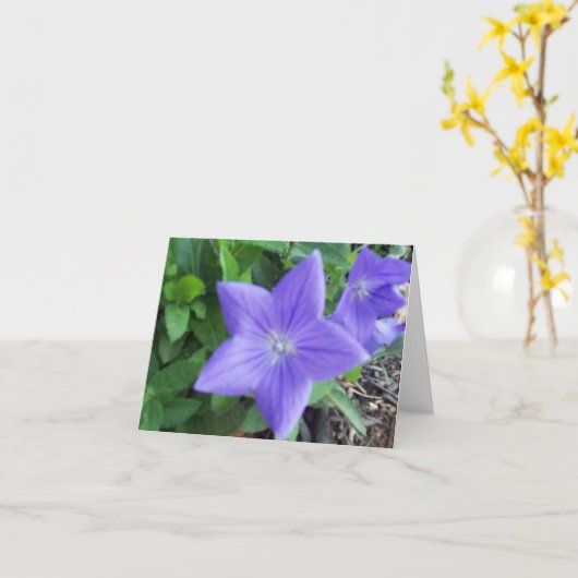 Blue Blume Note Card Karte (Gelbe Blume)
