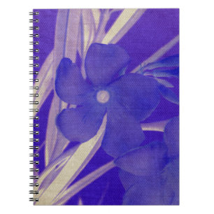Blue Blume Notebook Notizblock