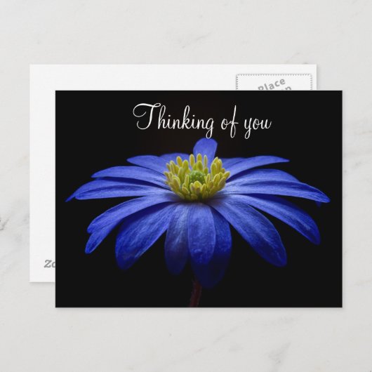 Blue Blume Postcard Postkarte (Vorne/Hinten)