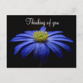 Blue Blume Postcard Postkarte (Vorderseite)