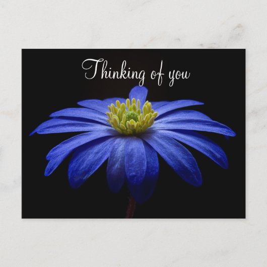 Blue Blume Postcard Postkarte (Vorderseite)