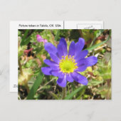 Blue Blume Postcard Postkarte (Vorne/Hinten)