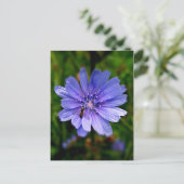 Blue Blume Postkarte (Stehend Vorderseite)