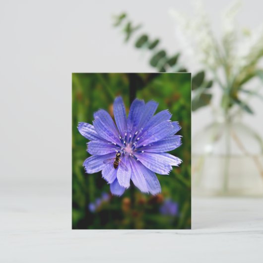 Blue Blume Postkarte (Stehend Vorderseite)