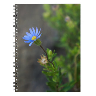 Blue Blume Spiral Notebook Notizblock