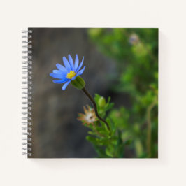 Blue Blume Spiral Notebook Notizblock