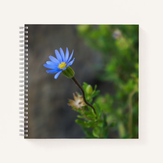 Blue Blume Spiral Notebook Notizblock (Vorderseite)