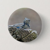 Blue Bly Alligator Lizard Button (Vorderseite)