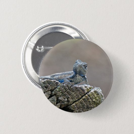 Blue Bly Alligator Lizard Button (Vorne & Hinten)