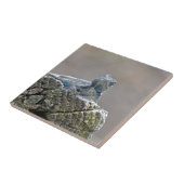 Blue Bly Alligator Lizard Fliese (Seite)