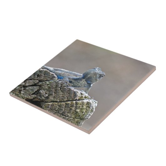 Blue Bly Alligator Lizard Fliese (Seite)