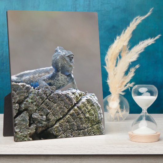 Blue Bly Alligator Lizard Fotoplatte (Seite)