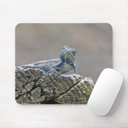 Blue Bly Alligator Lizard Mousepad (Mit Mouse)