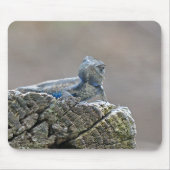Blue Bly Alligator Lizard Mousepad (Vorne)