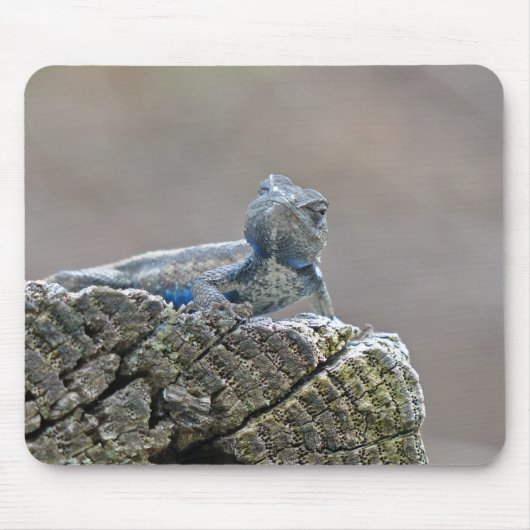 Blue Bly Alligator Lizard Mousepad (Vorne)