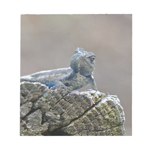 Blue Bly Alligator Lizard Notizblock (Vorderseite)
