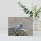 Blue Bly Alligator Lizard Postkarte (Stehend Vorderseite)