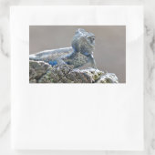 Blue Bly Alligator Lizard Rechteckiger Aufkleber (Tasche)