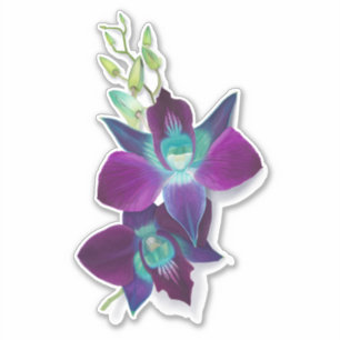 Blue Bom Dendrobium Orchid Blume Kiss-cut Sticker