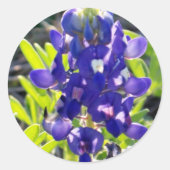 Blue Bonnet Runder Aufkleber (Vorderseite)