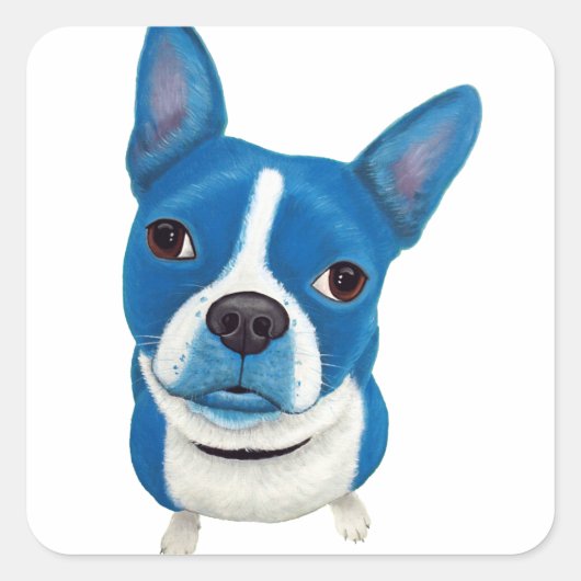 Blue Boston Terrier Quadratischer Aufkleber (Vorderseite)
