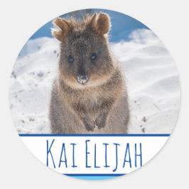 Blue Boys Personalisiert Quokka Beach Aufkleber