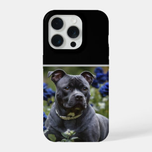 "Blue Brindle Schönheit: Ein Staffy mit blauen Ros iPhone 15 Pro Hülle