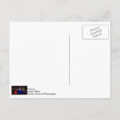 Blue Buckingham Fountain Postkarte (Rückseite)