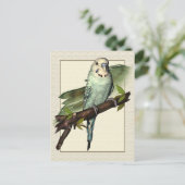 Blue Budgie Art Postcard Postkarte (Stehend Vorderseite)