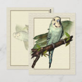 Blue Budgie Art Postcard Postkarte (Vorne/Hinten)