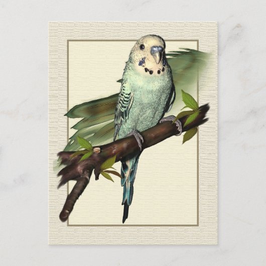 Blue Budgie Art Postcard Postkarte (Vorderseite)