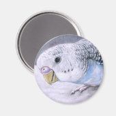 "Blue Budgie" Bird Art Magnet (Vorderseite/Rückseite)