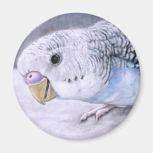 "Blue Budgie" Bird Art Magnet (Vorne)