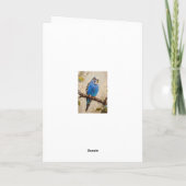 Blue Budgie Karte (Rückseite)