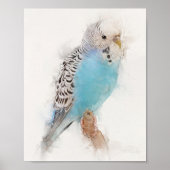 Blue Budgie Portrait Poster (Vorne)