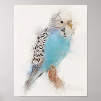 Blue Budgie Portrait Poster