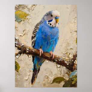 Blue Budgie Poster