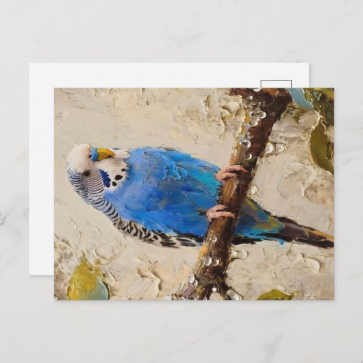 Blue Budgie Postkarte (Vorne/Hinten)