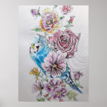 Blue Budgie & Rote Rose