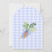 Blue Bunny Rabbit Gingham Baby Shower Einladung (Rückseite)