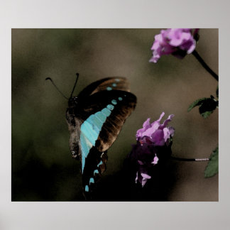 Blue Butterfly Abstrakt Poster