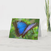 Blue Butterfly Card Karte (Vorderseite)